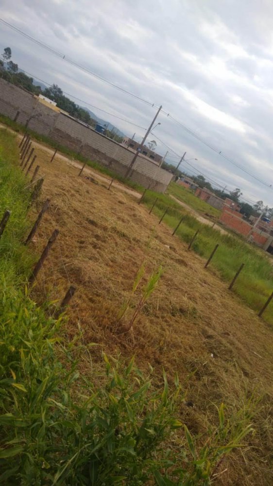 Terreno - Venda - Santa Izabel - Perube - SP
